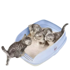 Catidea Litter Box Bread Bin Small Blue, 6977103893003, cat Litter Pan, Catidea, cat Housing Needs, catsmart, Housing Needs, Litter Pan